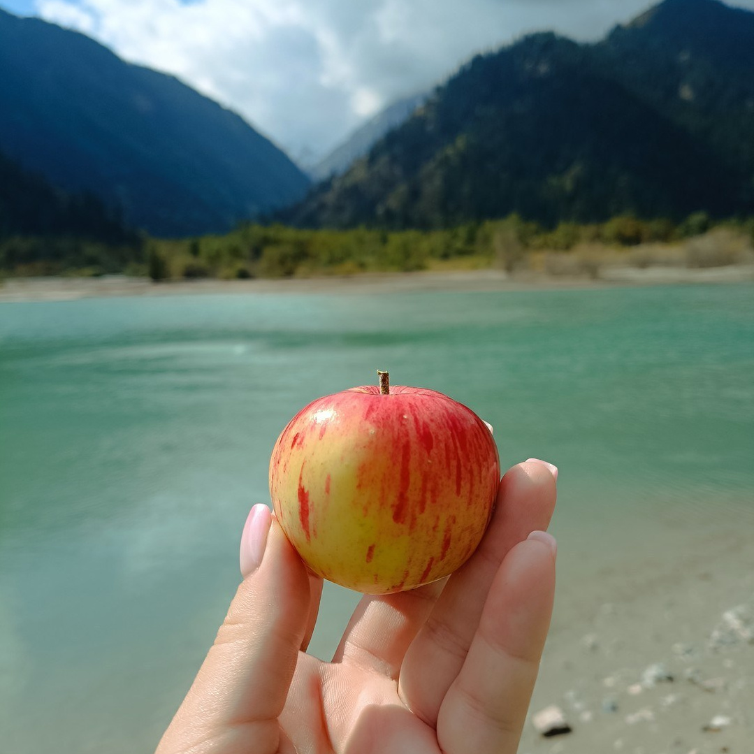 Плато Ассы рядом с Алматы, Казахстан. Где находится, как доехать, фото и видео зимой и летом