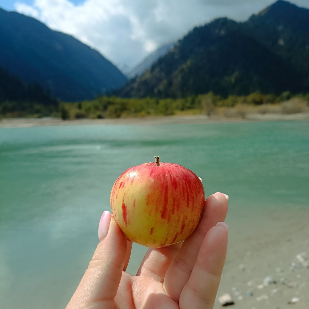 Медвежий водопад рядом с Алматы, Казахстан. Ущелье Тургень и водопад Тургеньский