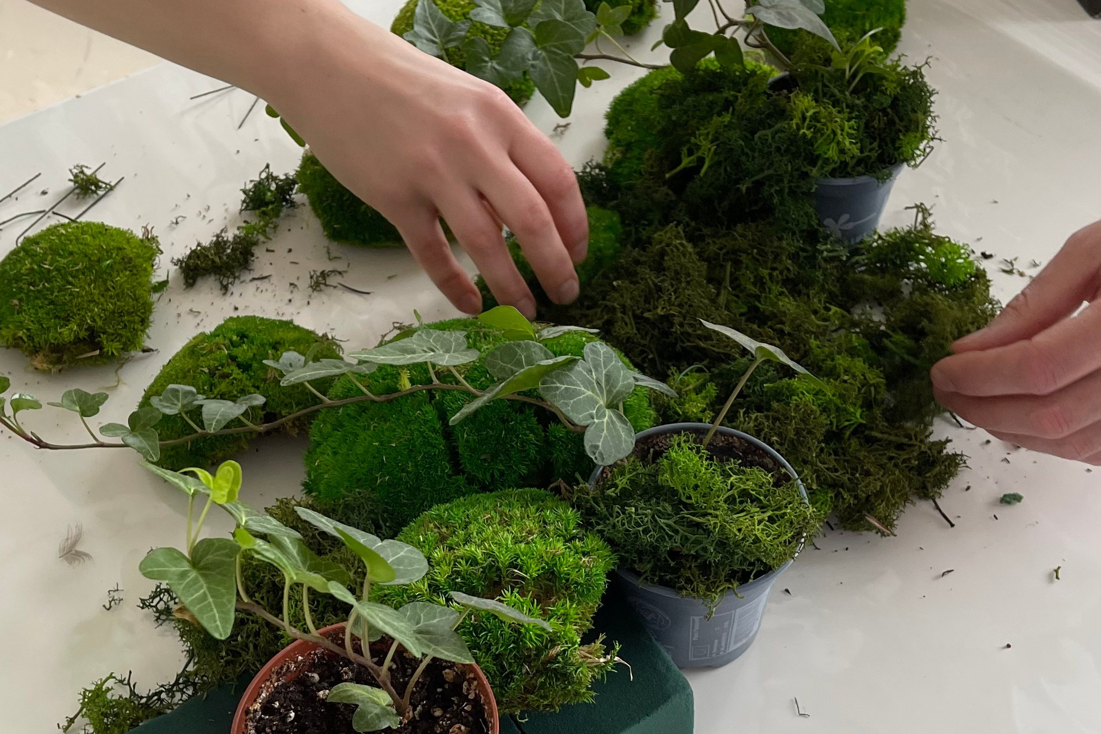 Почему предметные фотографии требуют много времени?. Предметная фотография