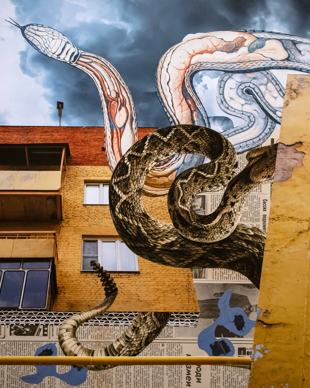 Collage. Alya Segova