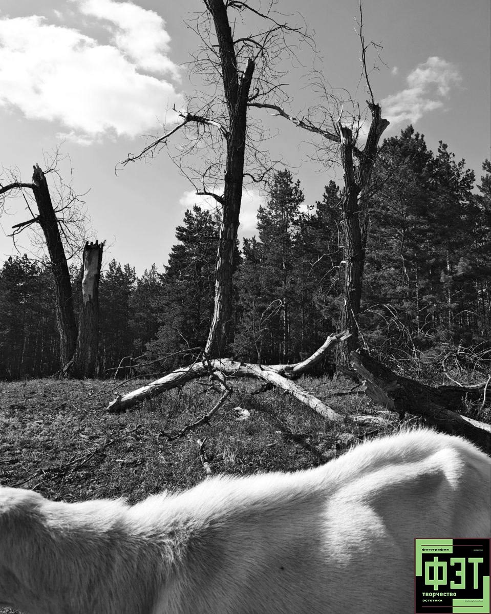 ФЭТ 04.11.25. Наталья Жукова. Курсы фотографии