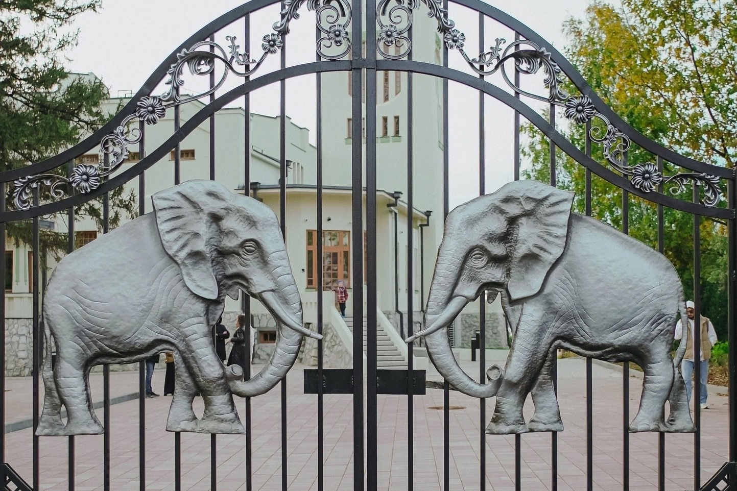 «Ах, Самара-городок!» и фестиваль «От чистого истока». Профессиональный фотограф, фотохудожник, видеограф из Москвы