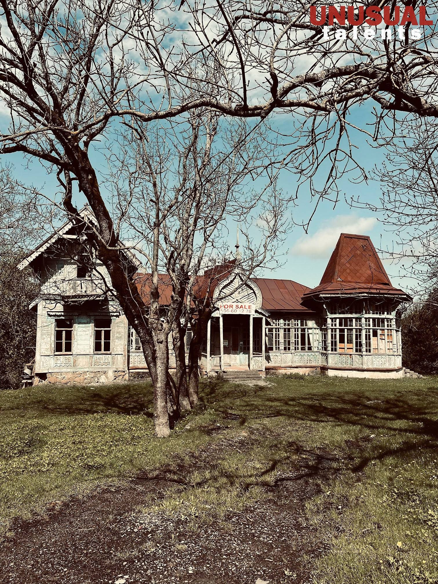 Svetlana Smuk. UNUSUAL TALENT magazine