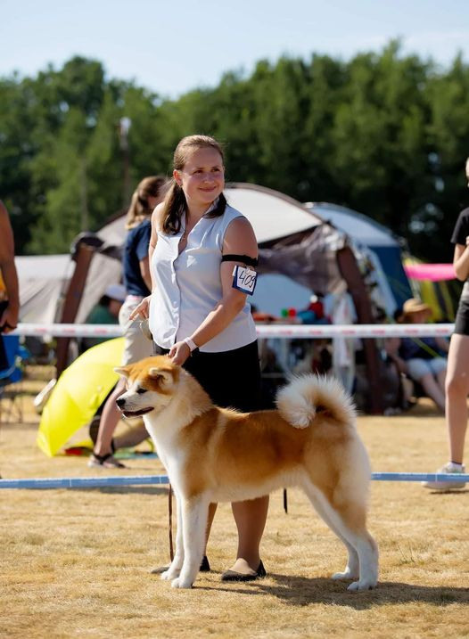 2021. SHIOMARU Shiba and Akita Inu Kennel