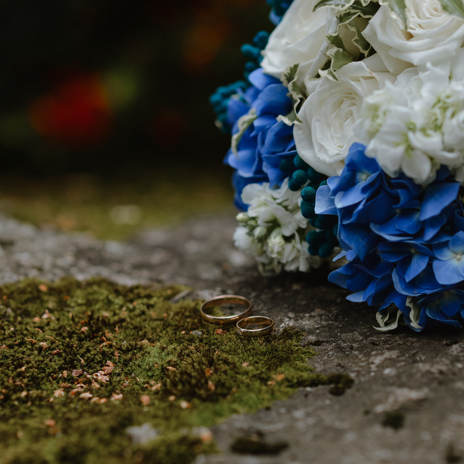 Свадебный прайс. Свадебный, семейный и школьный фотограф в Бийске Ксения Мамаева