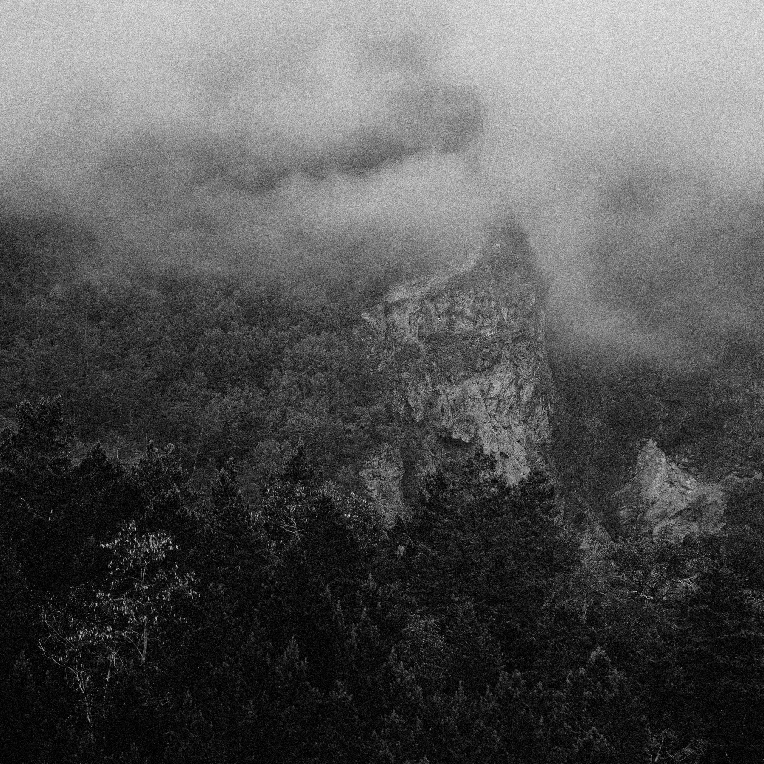 Фотограф Rockeroleg