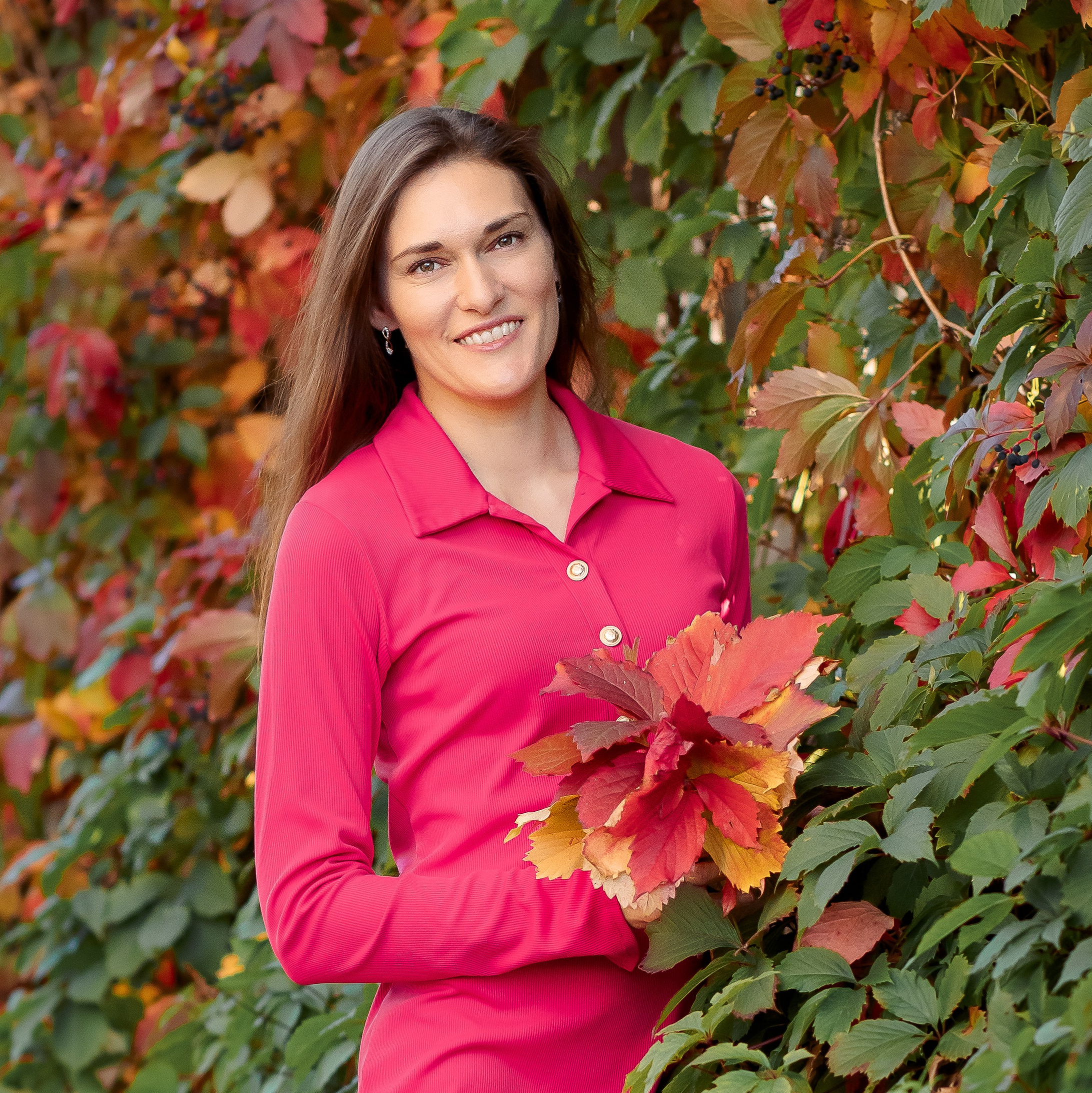 Мультиссылка