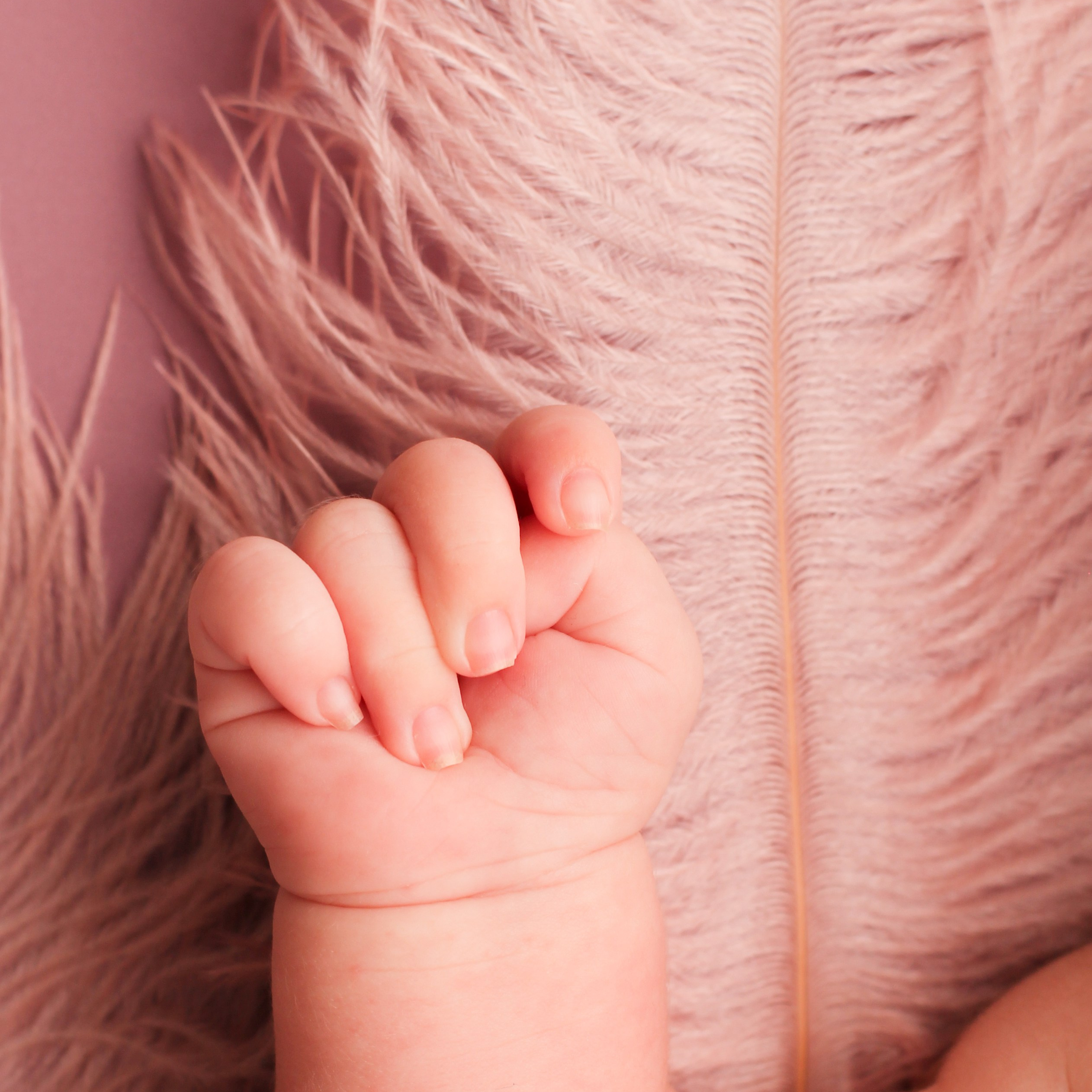 Обо мне. Photograper Israel/фотограф Израиль. ALINA TARAN