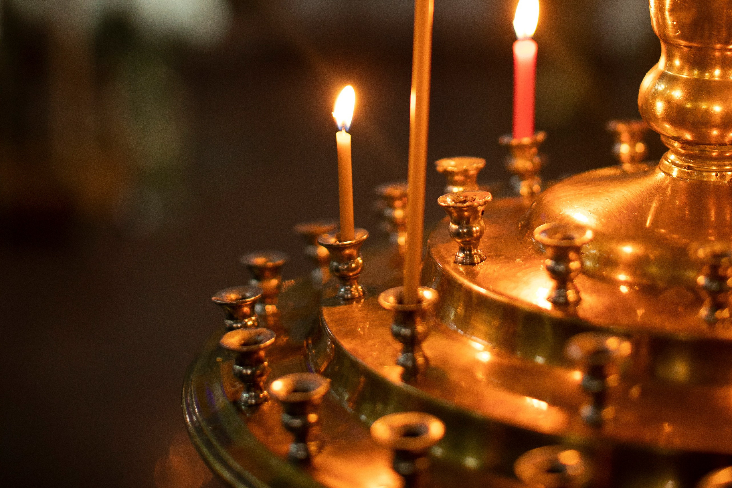 Стоимость. Семейный, детский и свадебный фотограф