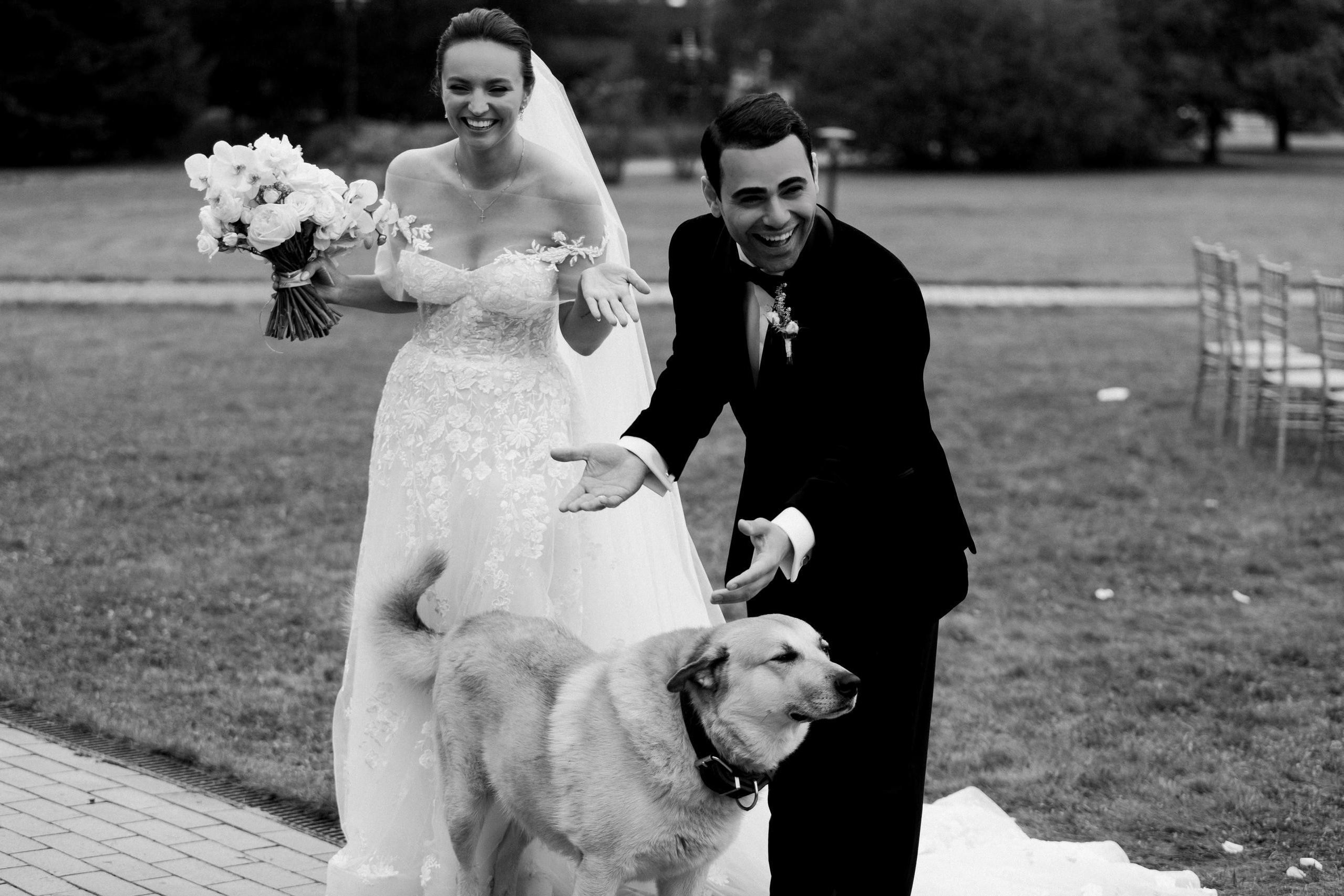 Друзья лишними не бывают - Бублик в деле. Свадебный фотограф Сергей Скрипник