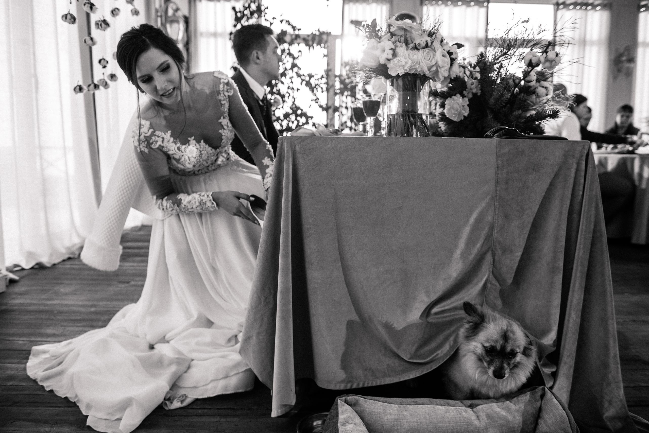 Друзья лишними не бывают - Бублик в деле. Свадебный фотограф Сергей Скрипник