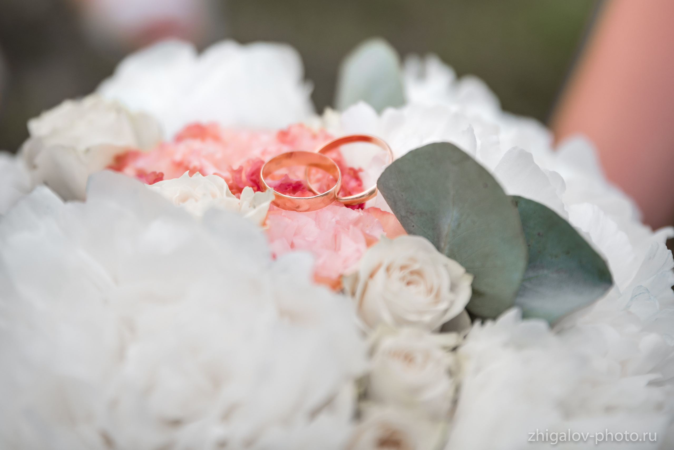 Тарифы на свадебную фотосессию. Семейный и свадебный фотограф в Иркутске Максим Жигалов