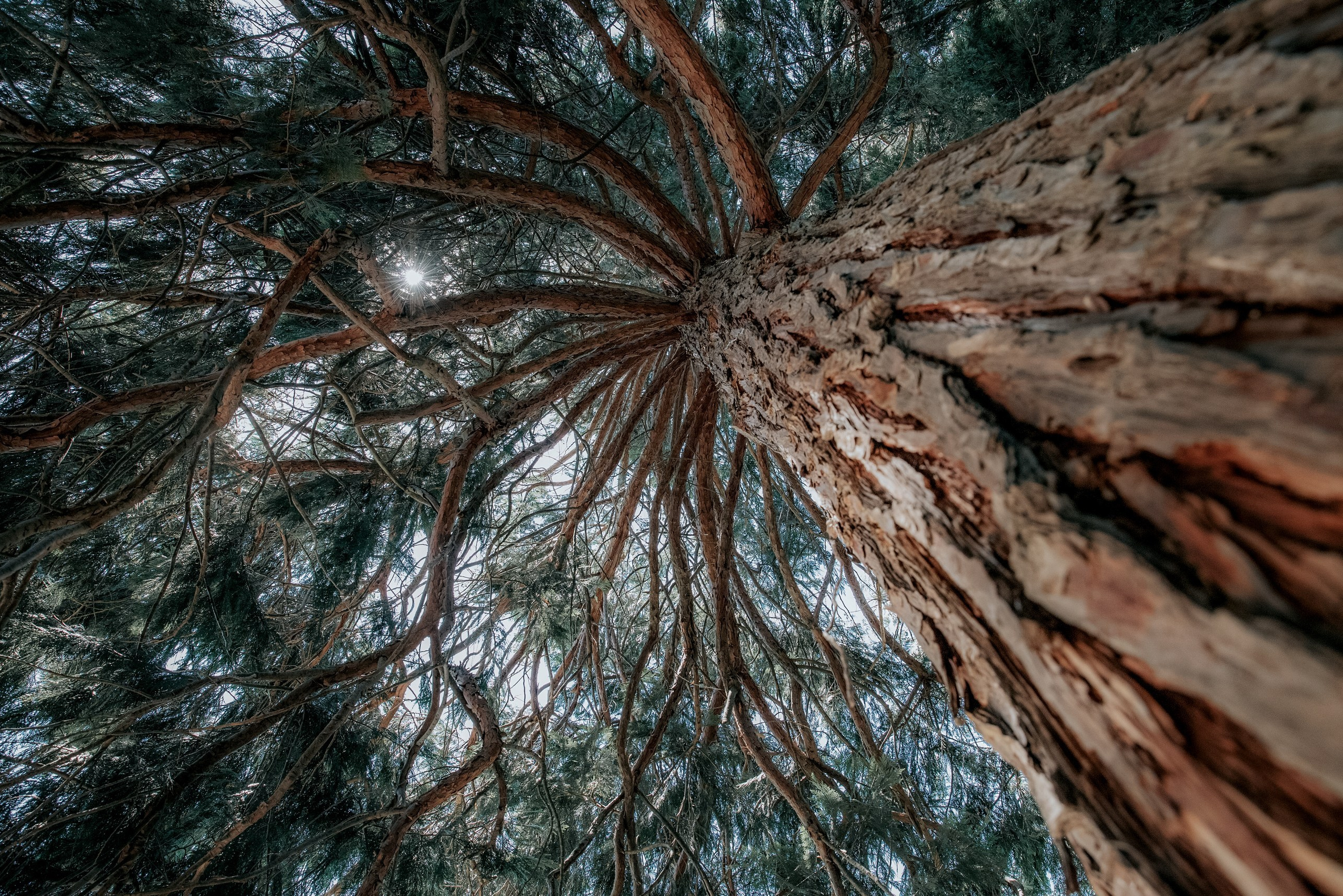 Школовая Светлана. ARTEXPOPHOTO