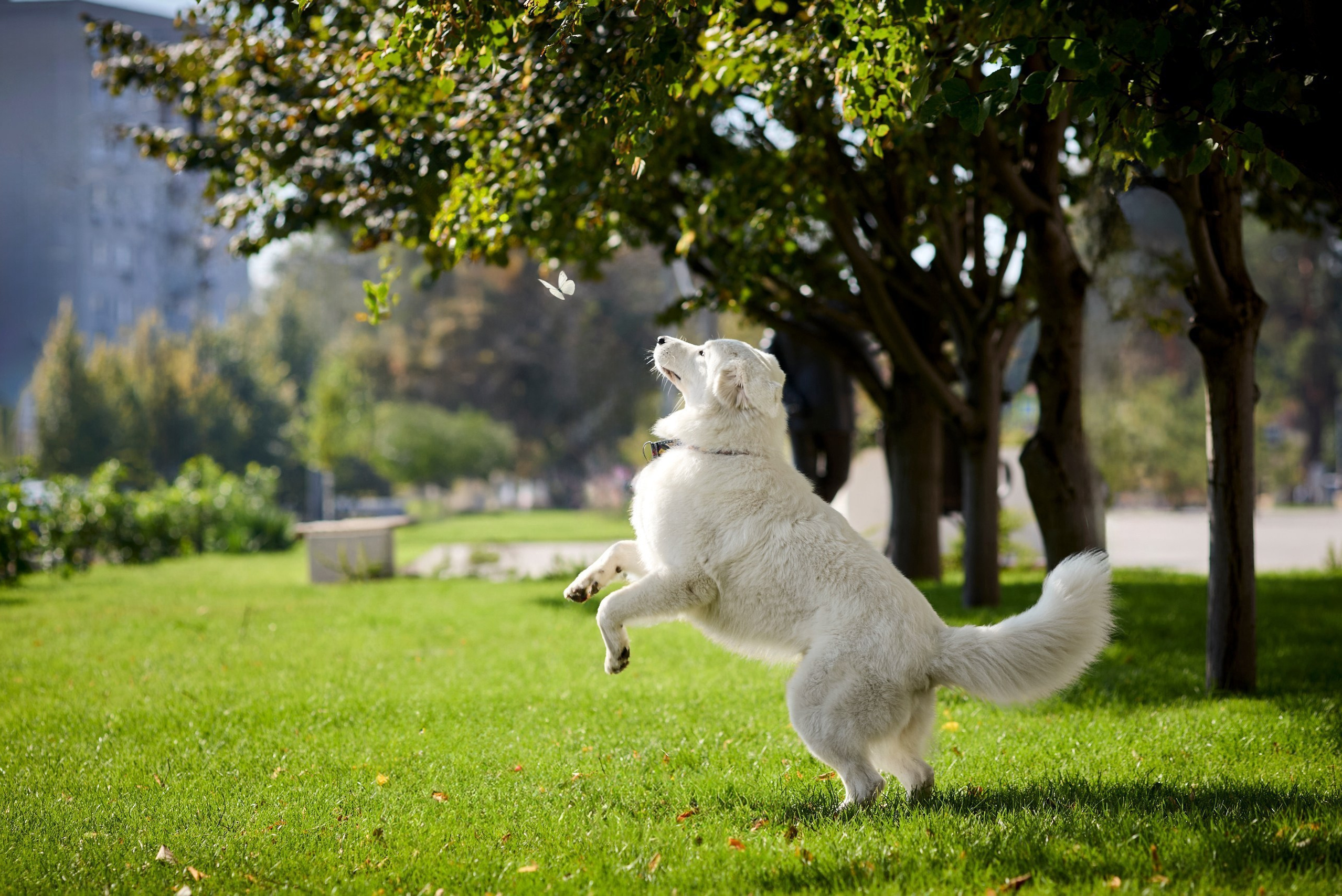 Услуги и цены