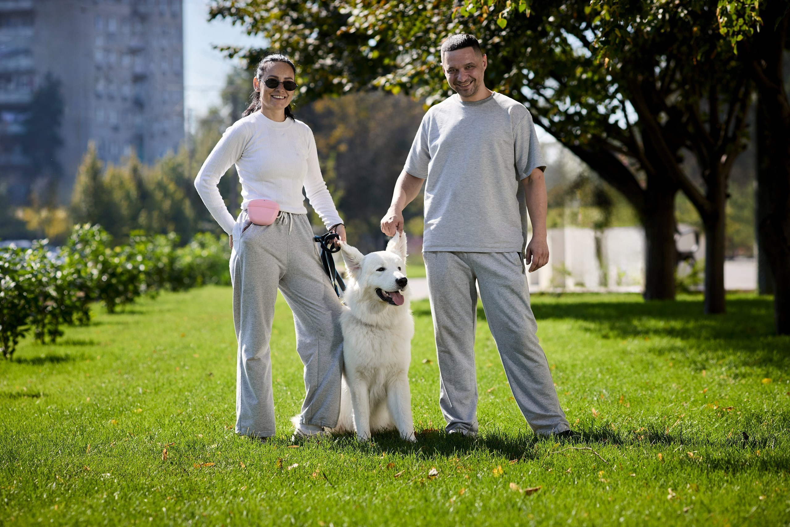 Услуги и цены