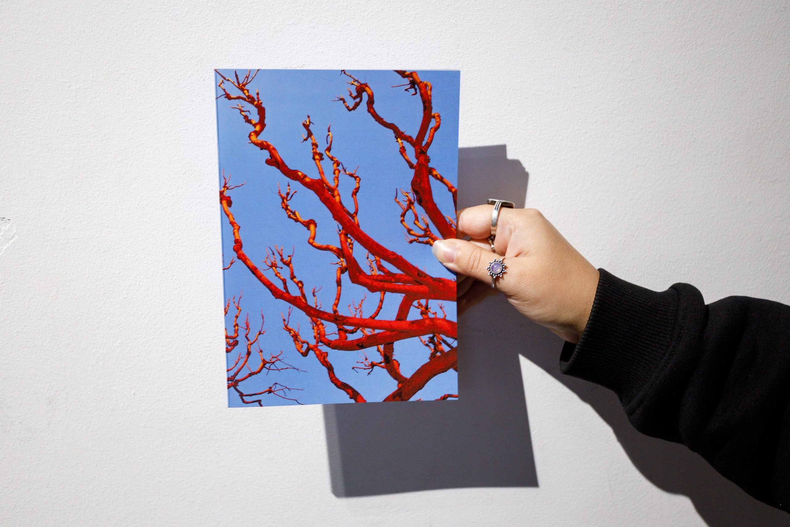 Group show projects. Artist Anna Snegina Художница Анна Снегина