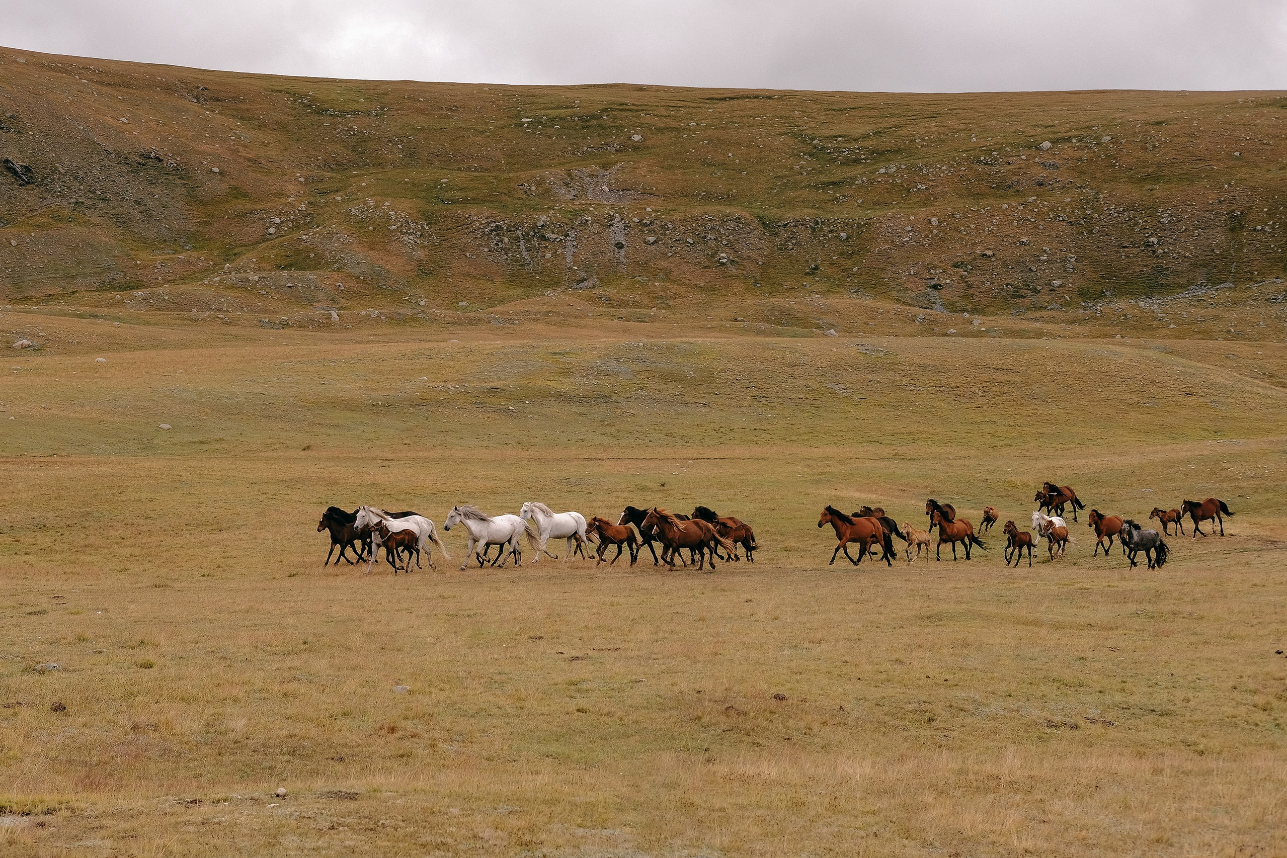 Горный Алтай, 2021