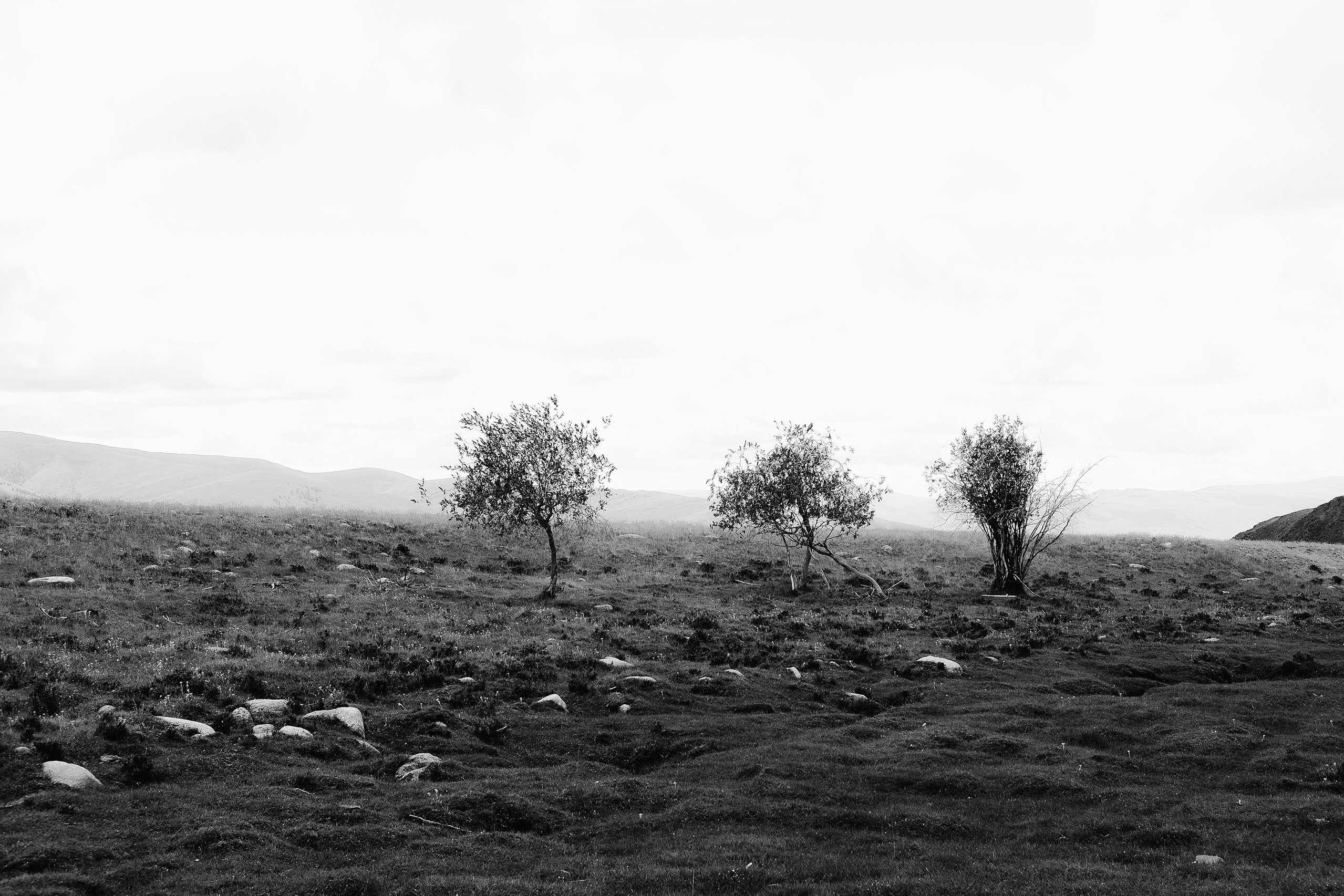 Горный Алтай, 2021