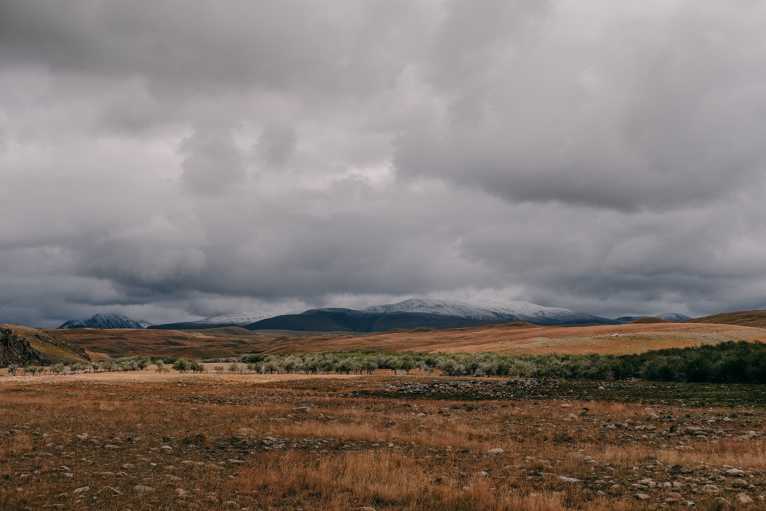 Горный Алтай, 2021