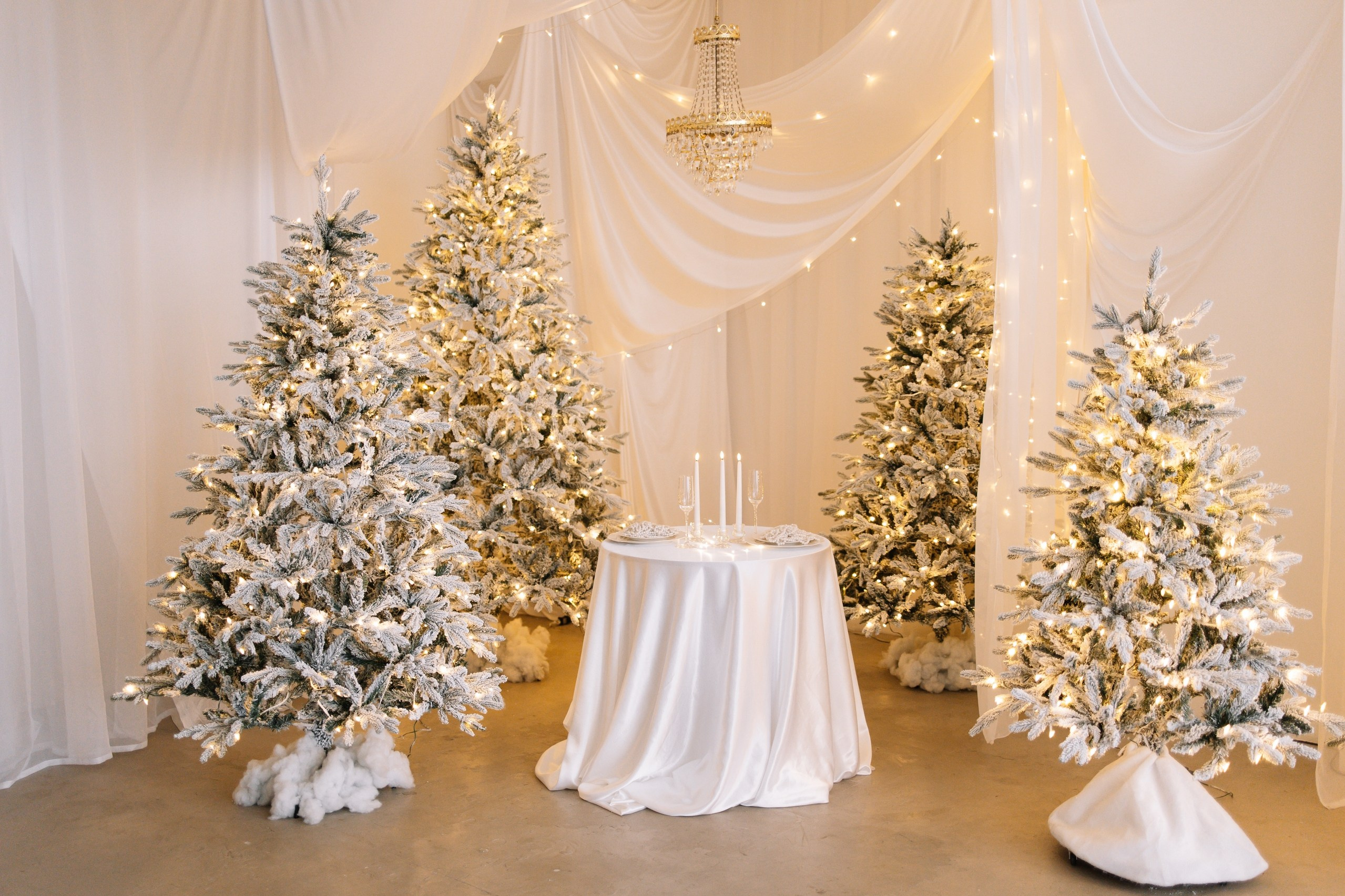 Фотостудии (Новый год 2025–2026г). Семейный фотограф в Екатеринбурге и Красноуфимске Евгения Лягаева