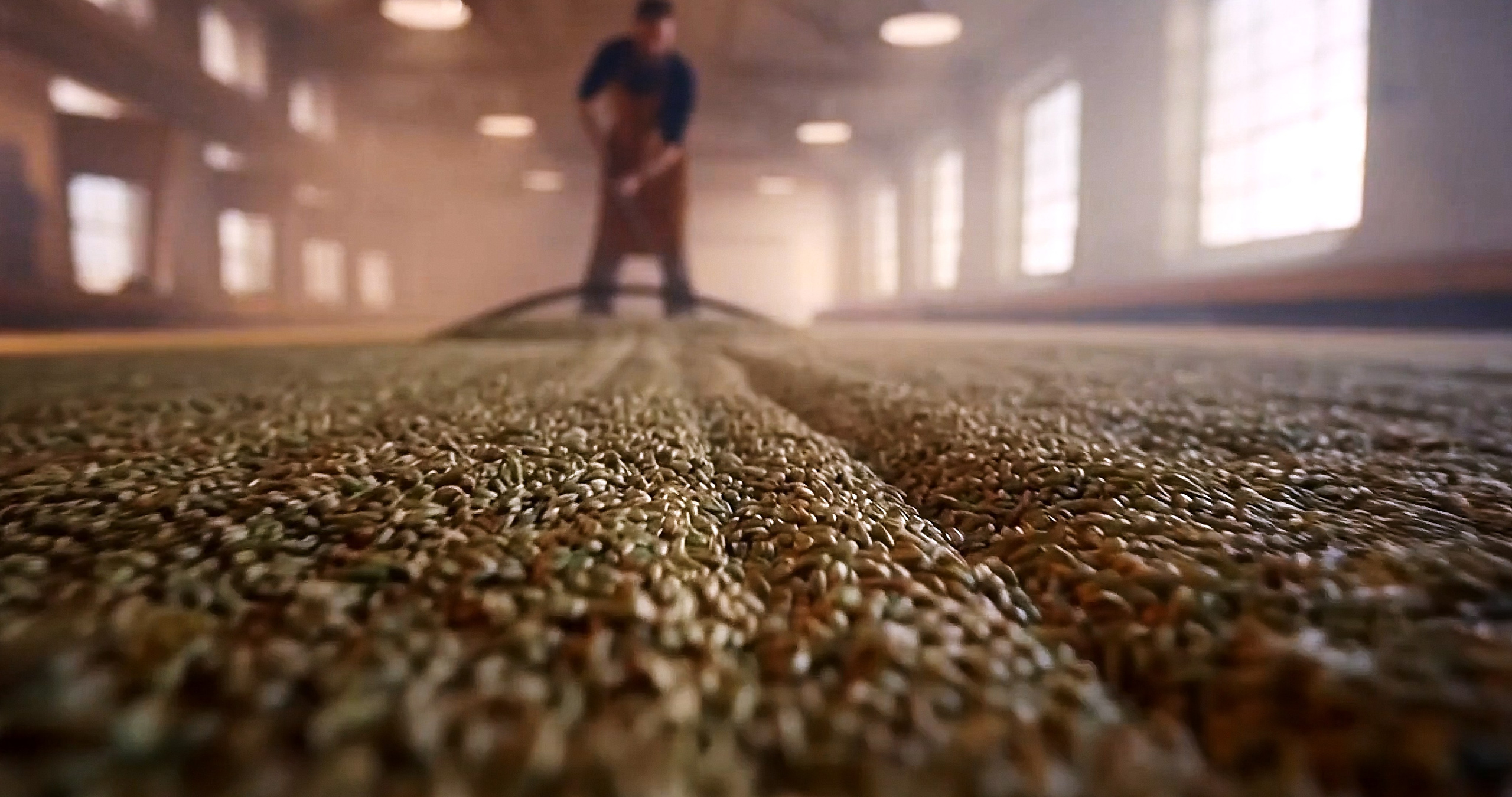 Фильмы о бизнесе — видео о компании, бренде, командах и обучении. Рекламные ролики · репортажная съемка · фильмы о компании