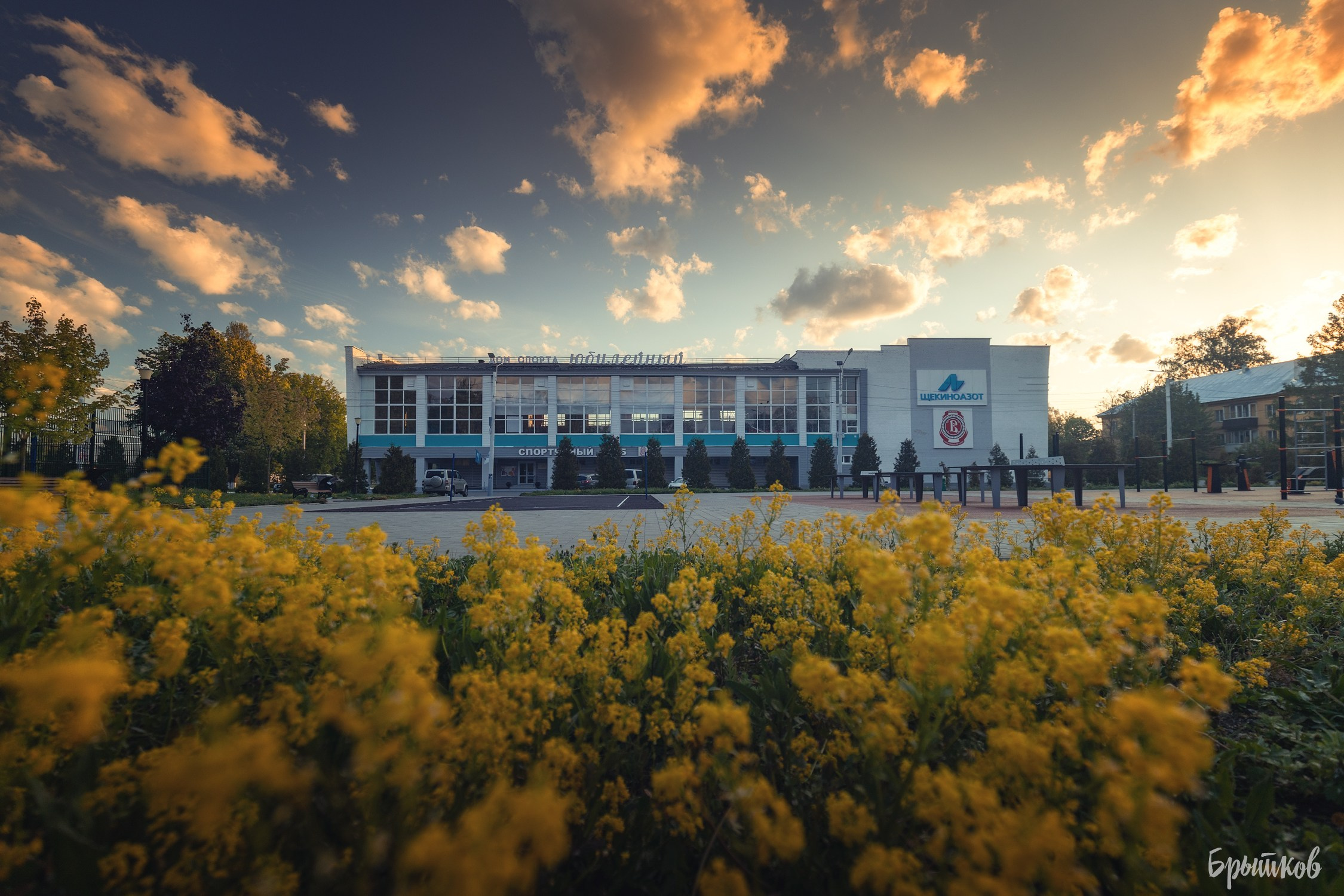 Первомайский парк. Николай Брытков — фотограф в Туле