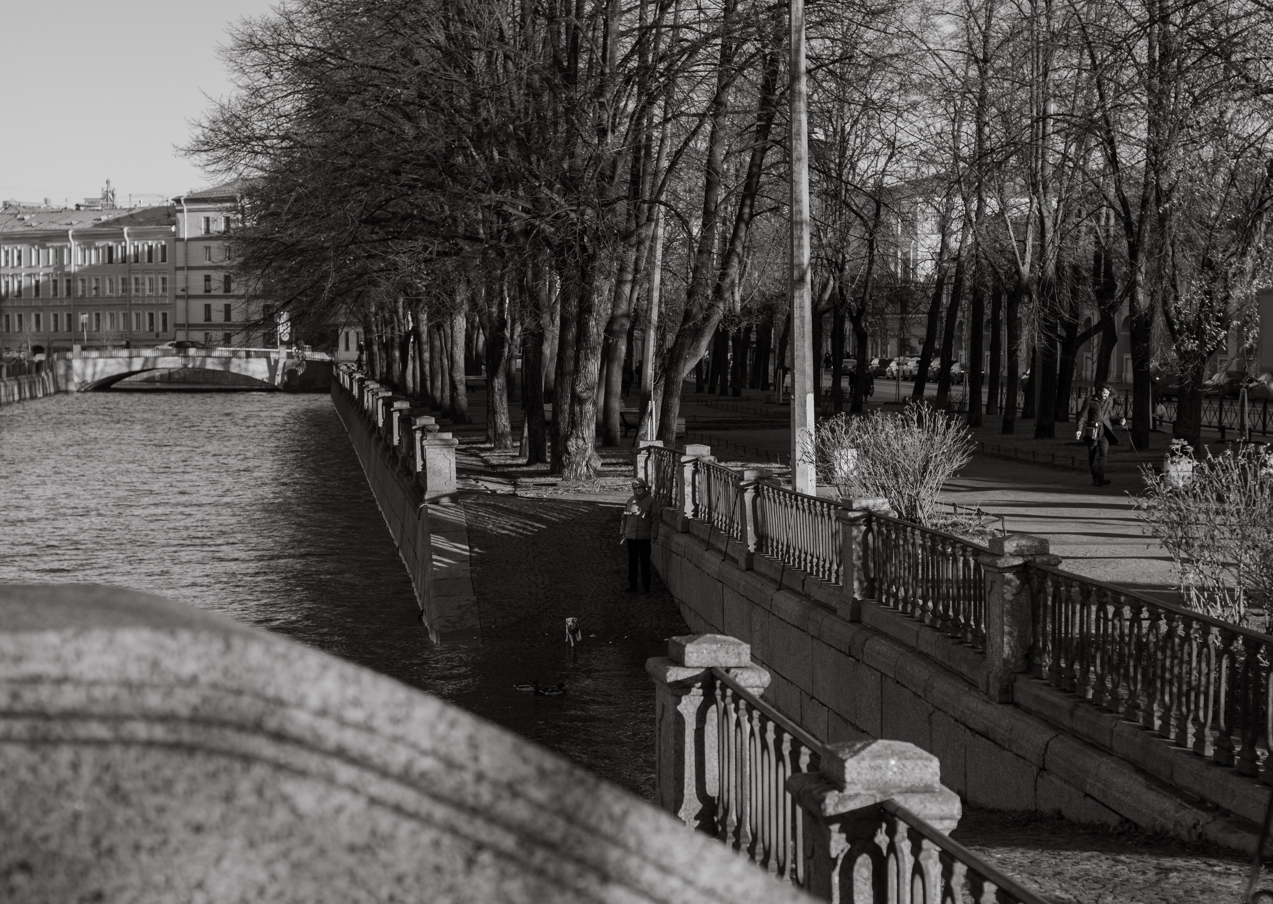 Контакты. Мария Гафарова|Фотограф Санкт-Петербург