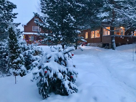 Зимний отдых на экоферме. Эко отдых в Подмосковье в эко-отеле Марии Гиппенрейтер