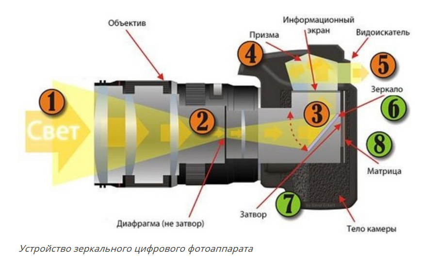 Обзор фотокамер. Фотоцентр Перспектива: выпускные альбомы, фотошкола, курсы фотографии