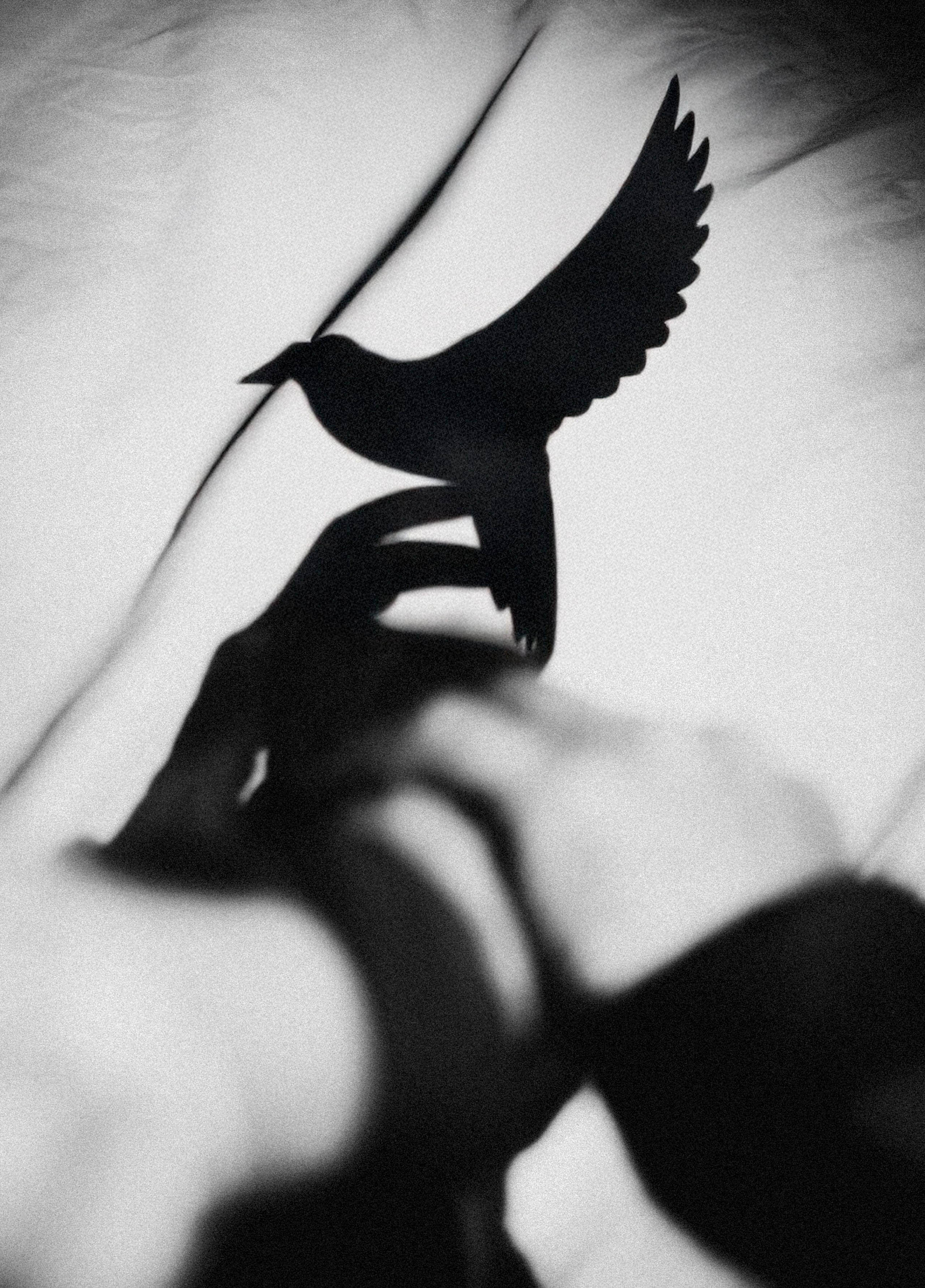 Философия портрета VII