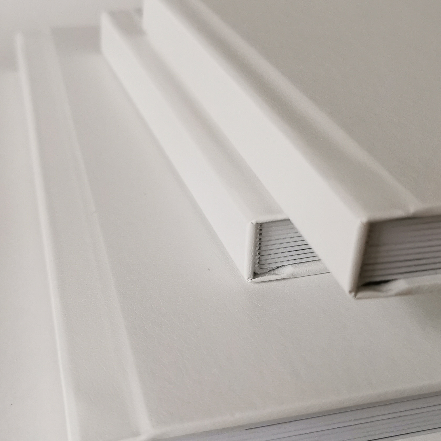 Свадебная фотокнига. Портретный фотограф Александра Харитонова Москва Новая Москва Троицк