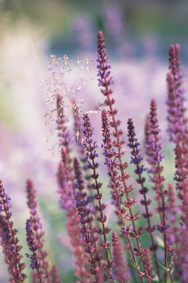 Стоимость. Fotógrafos Daria y Dmitry Arsentyevs