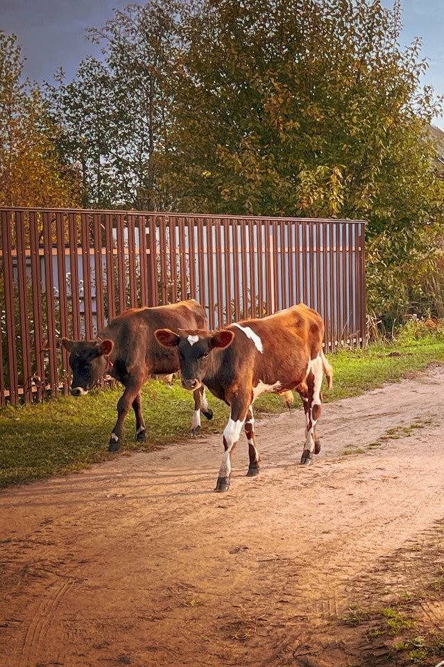 Работы учеников. ФОТОШКОЛА VISION — курс по мобильной фотографии в Москве, курс по фотографии Владимира Васильева