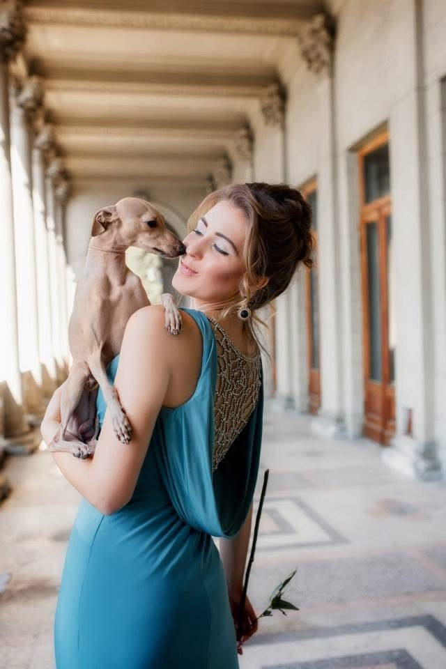 Питомник малой итальянской борзой (левретка) РКФ/FCI Asti Sapphire в Сочи. Профессиональный питомник левреток РКФ/FCI ASTI SAPPHIRE 💎 Сочи|Санкт-Петербург