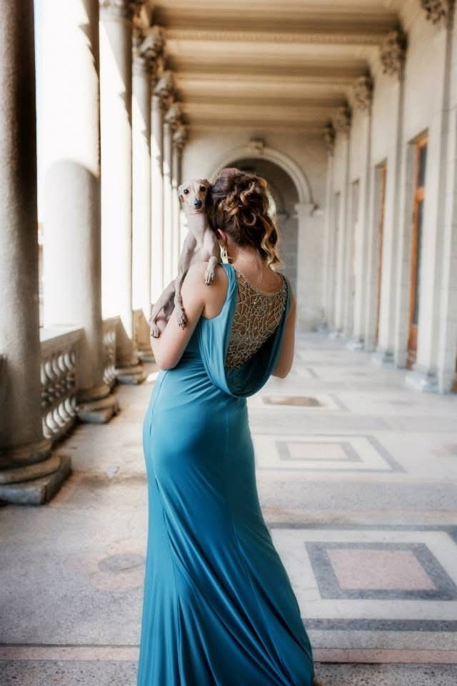 Питомник малой итальянской борзой (левретка) РКФ/FCI Asti Sapphire в Сочи. Профессиональный питомник левреток РКФ/FCI ASTI SAPPHIRE 💎 Сочи|Санкт-Петербург