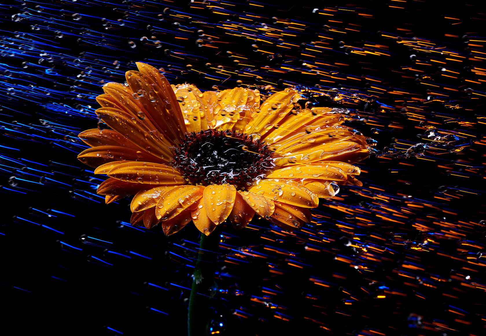 Как это снято?. Фотостудия Игоря Сахарова (Санкт-Петербург)