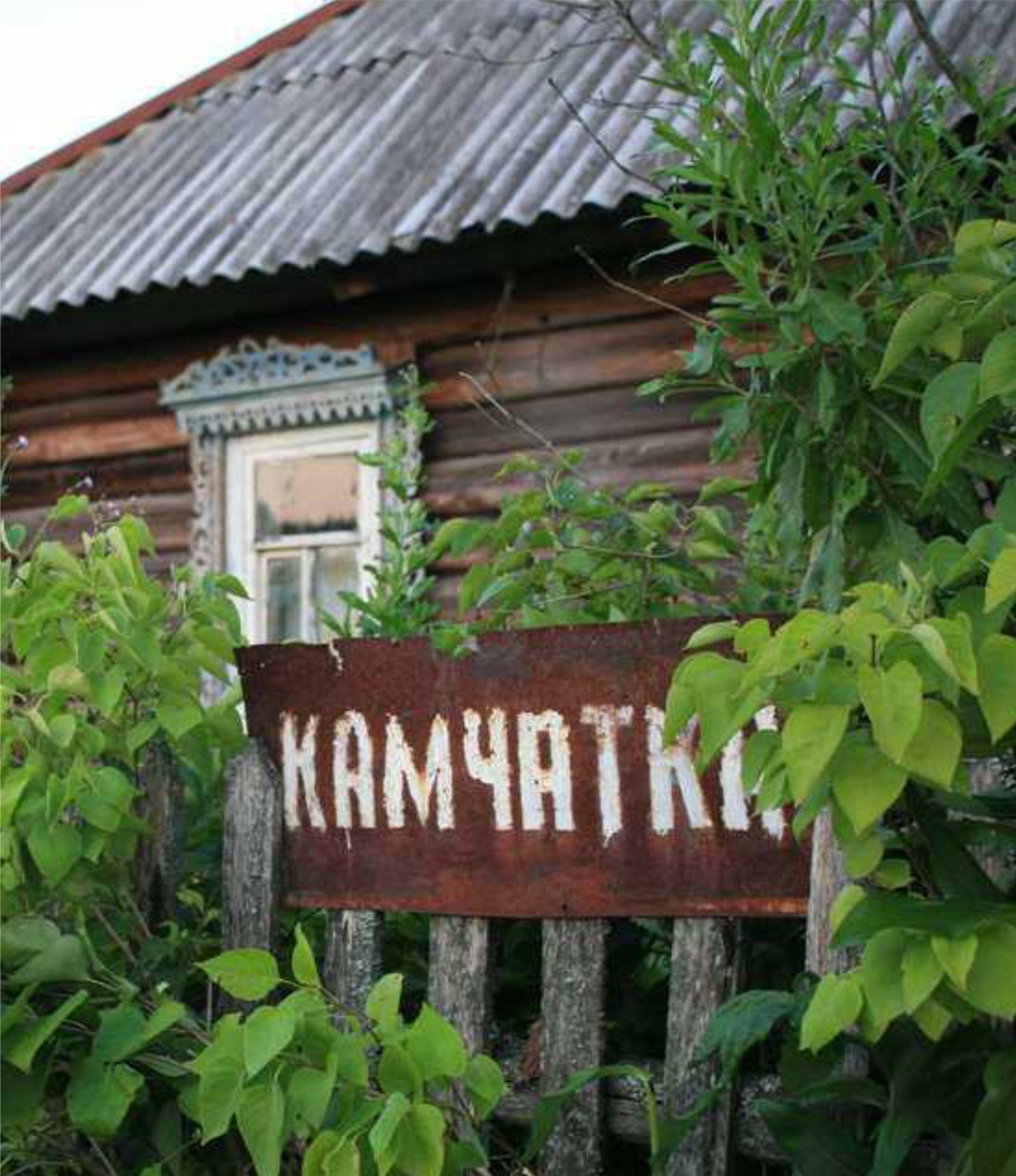 Контакты. Культурный кросс
