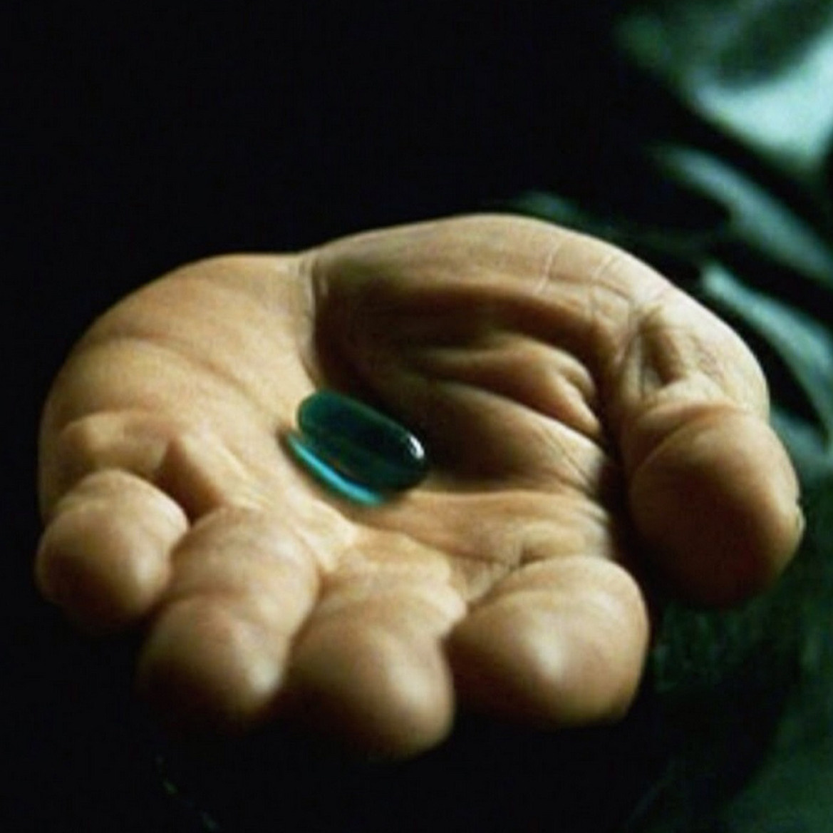 План обучения курса по фотографии Концентрат. DemART — фотограф в Благовещенске и Свободном