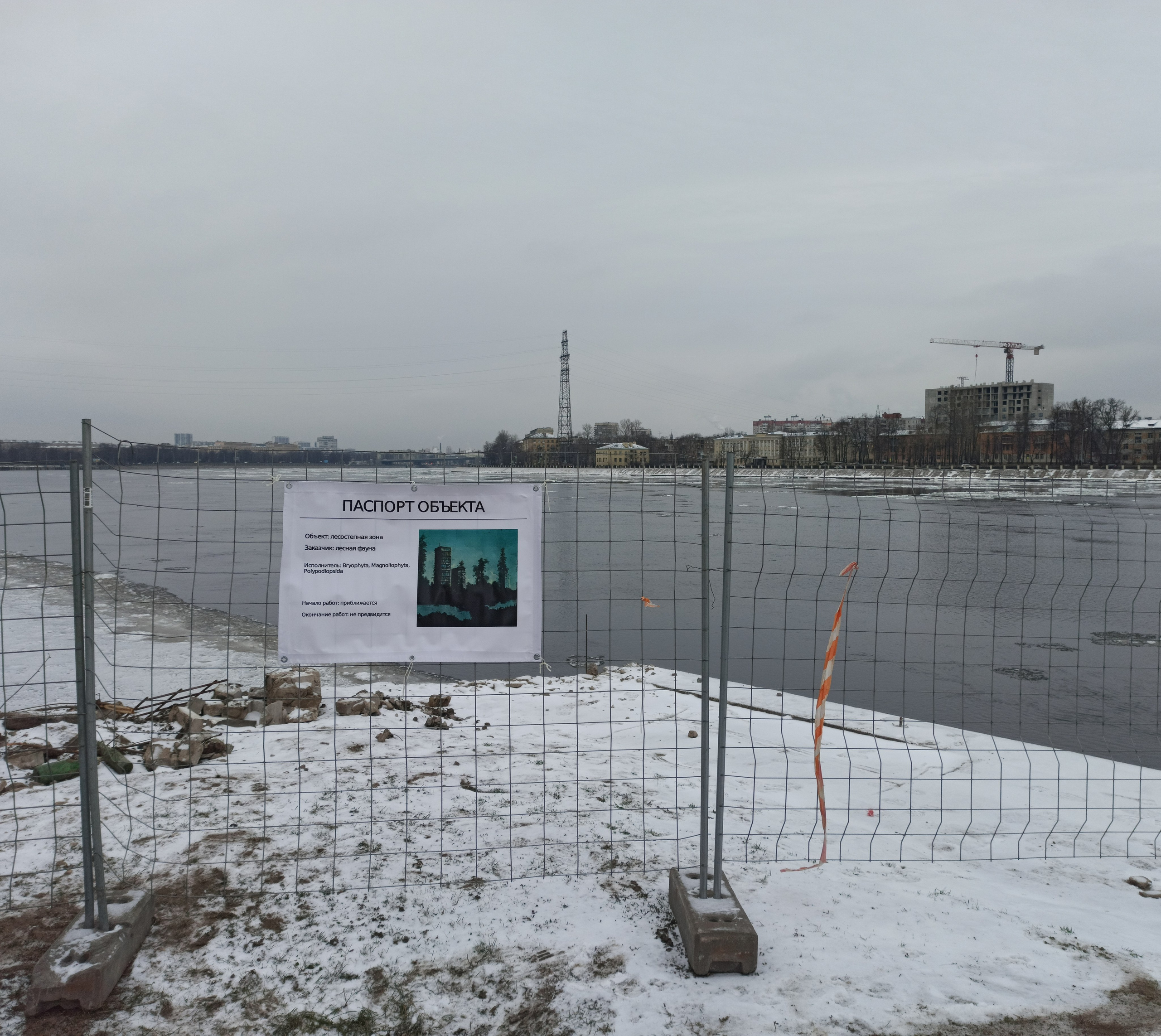 Интервью с художниками