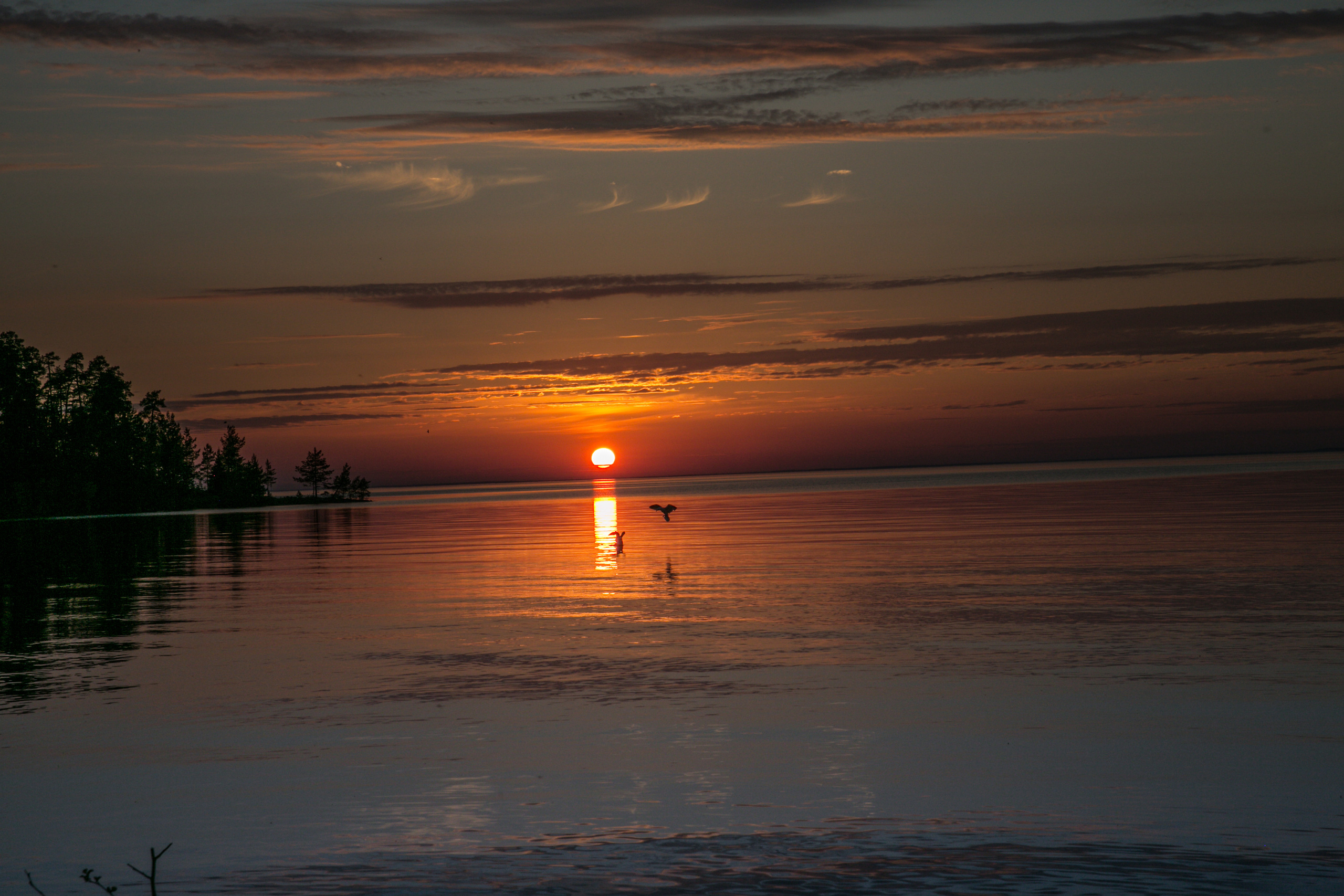 Valaam Island. Visual artist, photographer Liana Darenskaya, Moscow