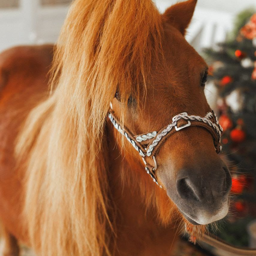 Расписание фотодней. Свадебный семейный и детский фотограф в Краснодаре Карина Федоровская