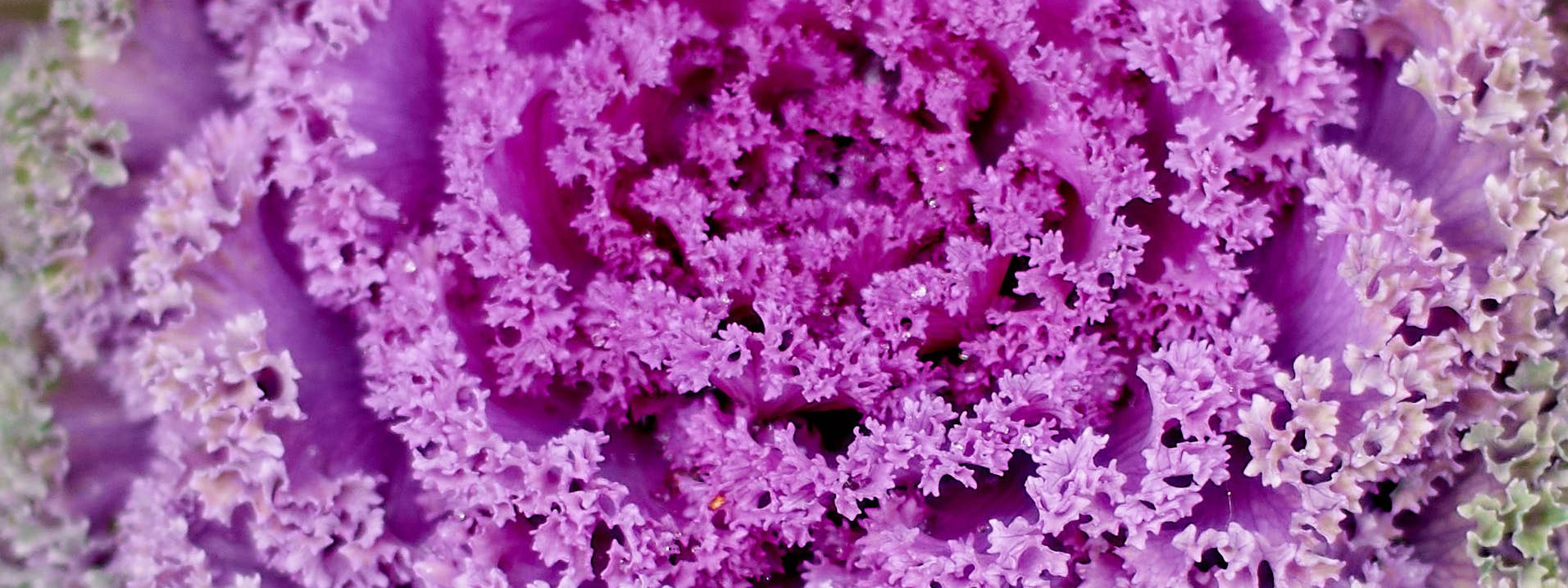 Autumn isn’t about endings. Reportage event photographer in Moscow Alexander Gladkiy