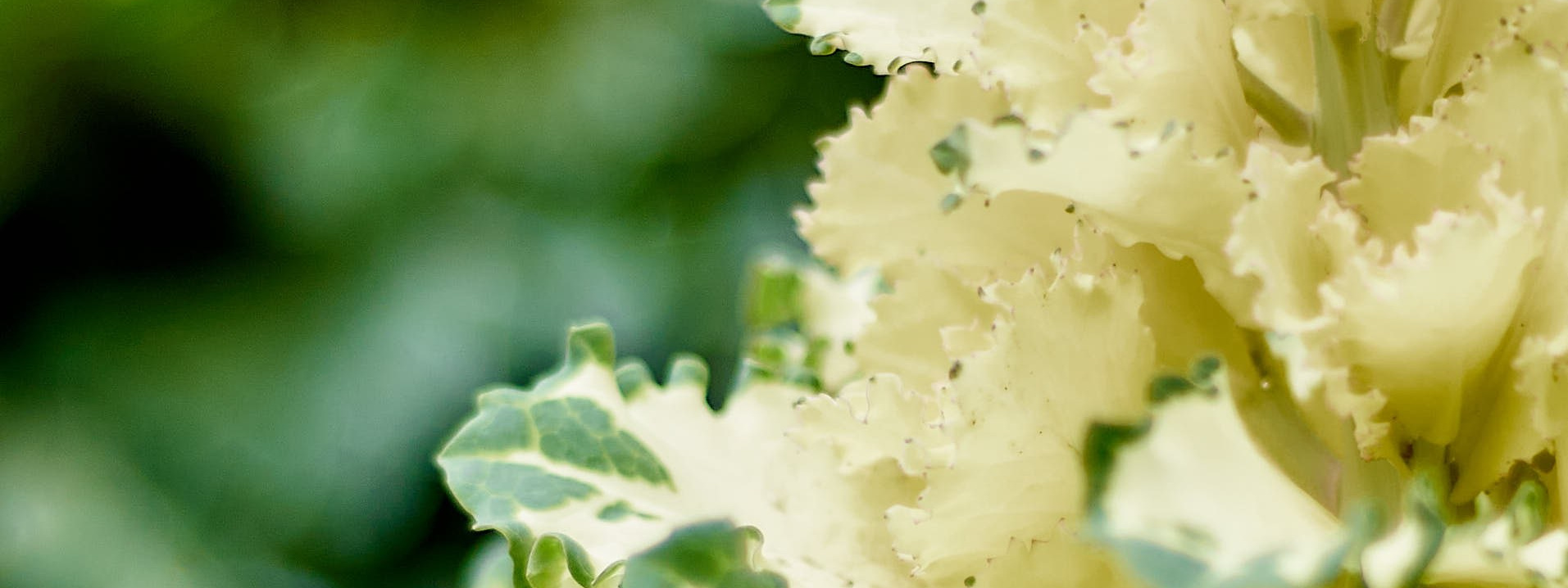 Autumn isn’t about endings. Reportage event photographer in Moscow Alexander Gladkiy