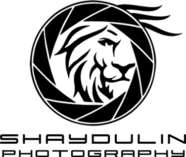 leonshaydulin.wfolio.pro