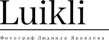 luikli.wfolio.pro