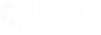 zebra.wfolio.pro