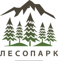 tlt-lesopark.ru