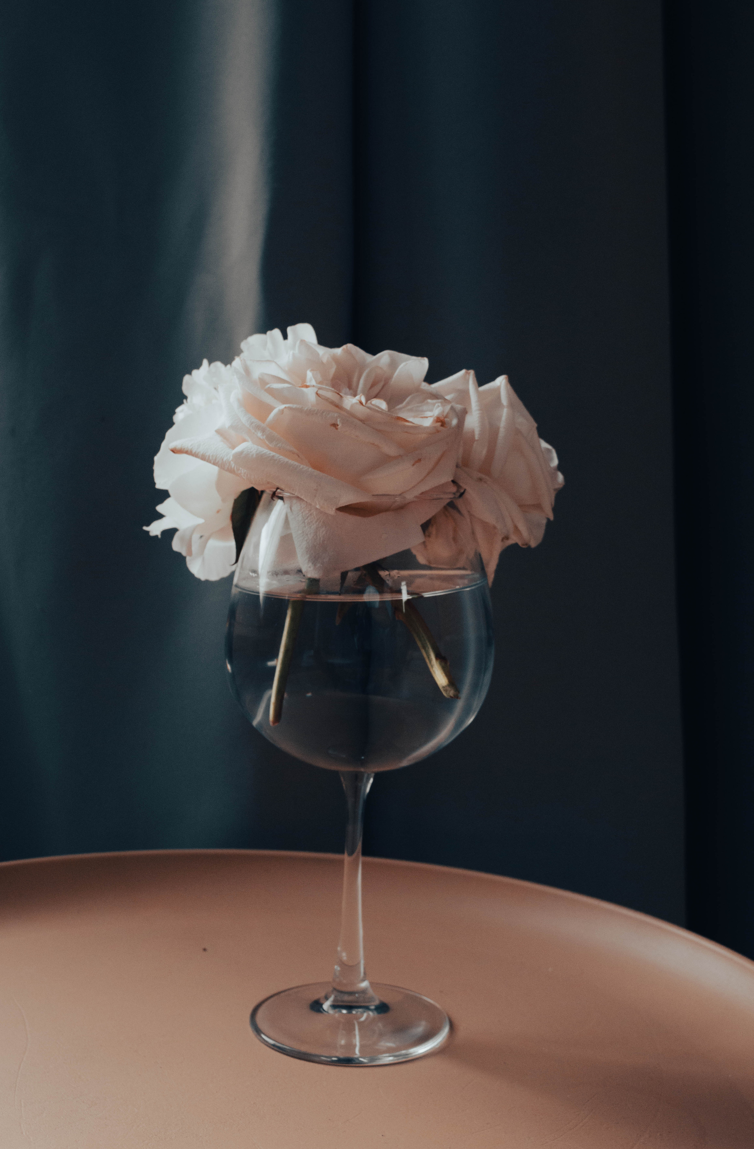 Контакты. Фотограф, фотохудожник г. Краснодар Оксана Зинченко