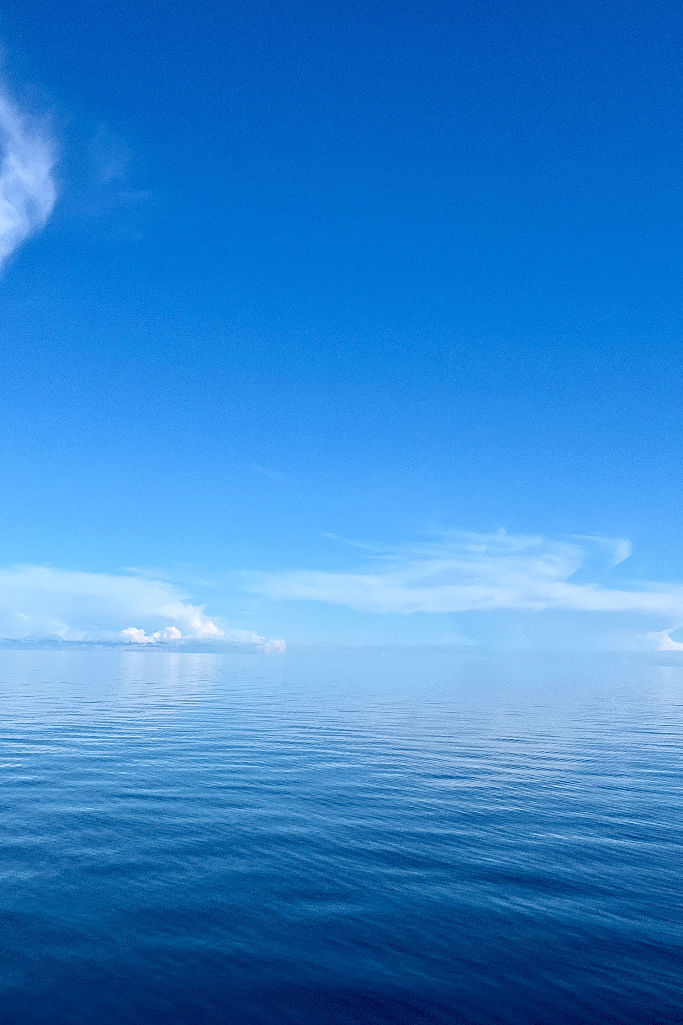 Семейный, уличный и пейзажный фотограф в Москве Никифоров Виктор