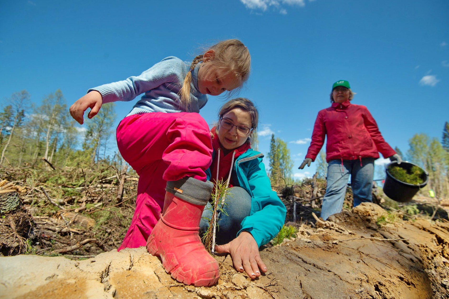 Высадка леса. Документальный фотограф Сергей Вдовин